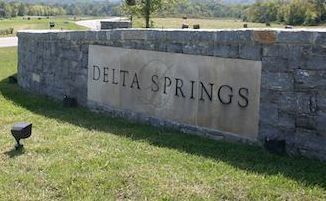 Delta Springs